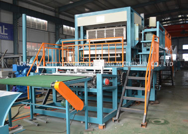Customized Color Pulp Egg Tray Equipment Recycled Paper Processing Machine