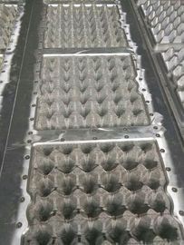 Big Output Egg Tray Machine Equipped Multilayer Drying Line Fully Automatically