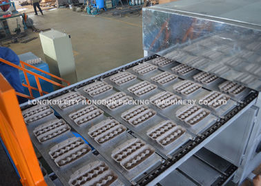 Rotary Waste Paper Egg Tray Machine , Production Line For Egg Tray